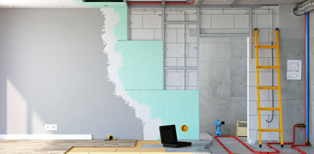 Reliable Woodland, WA Mold Removal Solutions