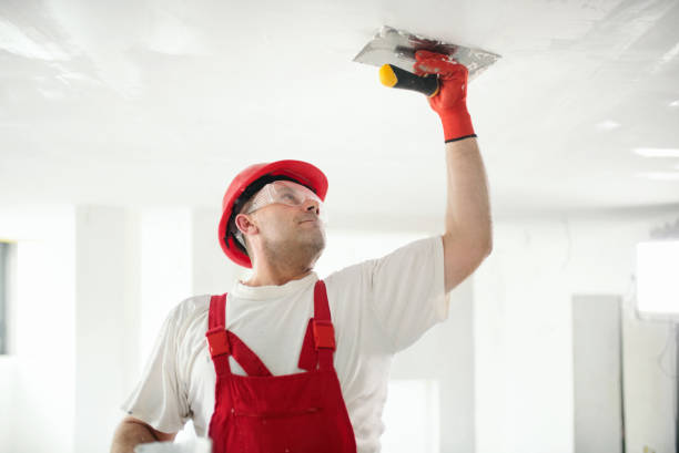 Best Black Mold Removal  in Woodland, WA